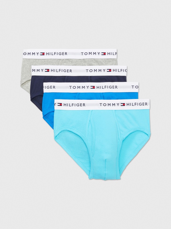 Bavlněné Klasické Slipy 4ks Modrá/modrá/námořnická/šedá Vřes Tommy Hilfiger