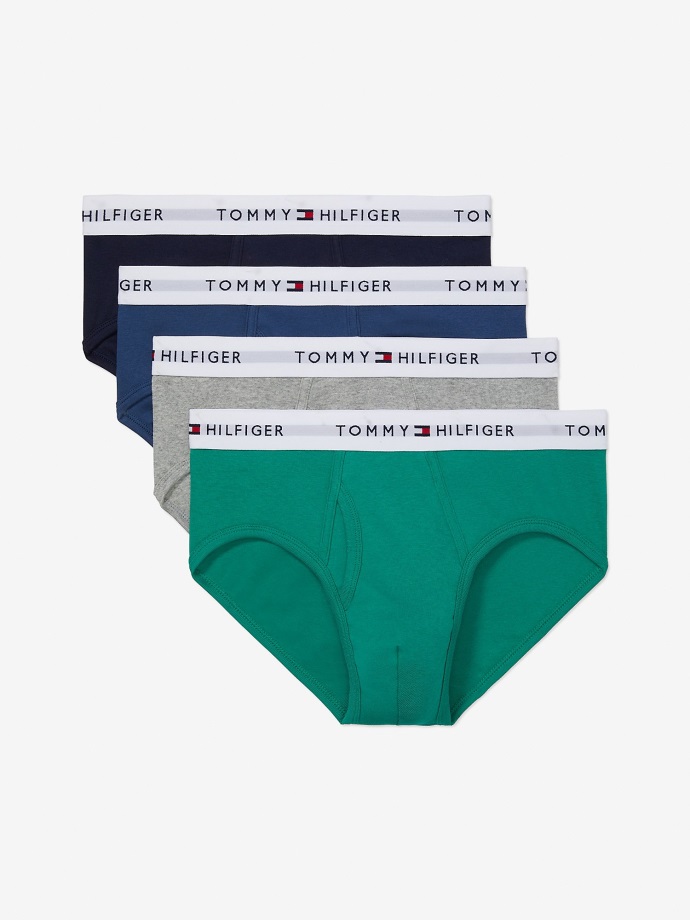 Bavlněné Klasické Slipy 4ks Zelená/šedá/modrá/černá Tommy Hilfiger