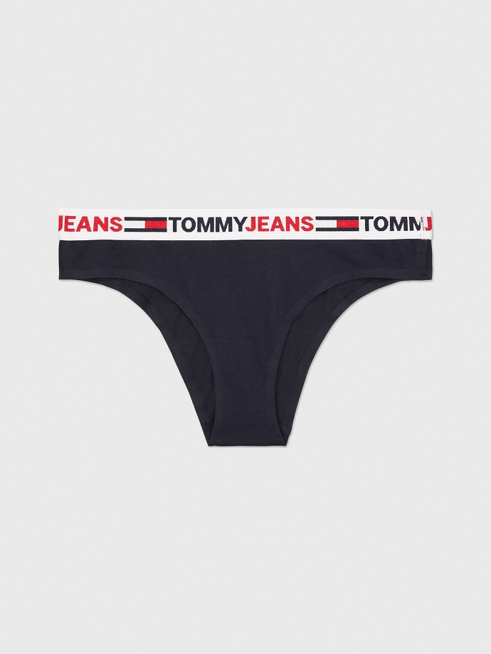 Křivka Tommy Logo Bikiny Bederní Pouštní Nebe Tommy Hilfiger
