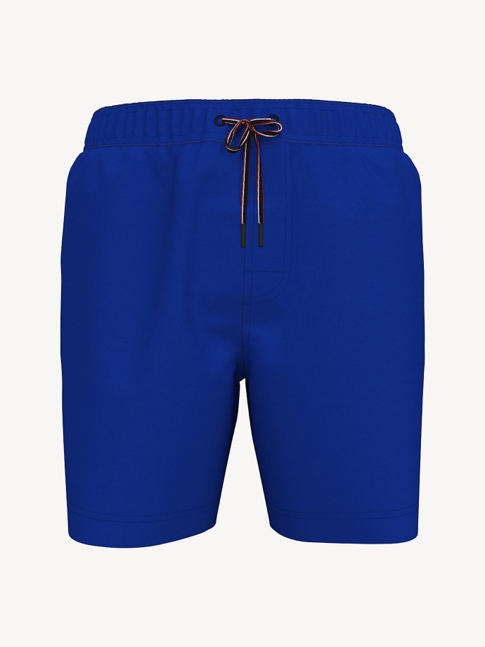 Kobalt Základní Pevné Plavky Tommy Hilfiger