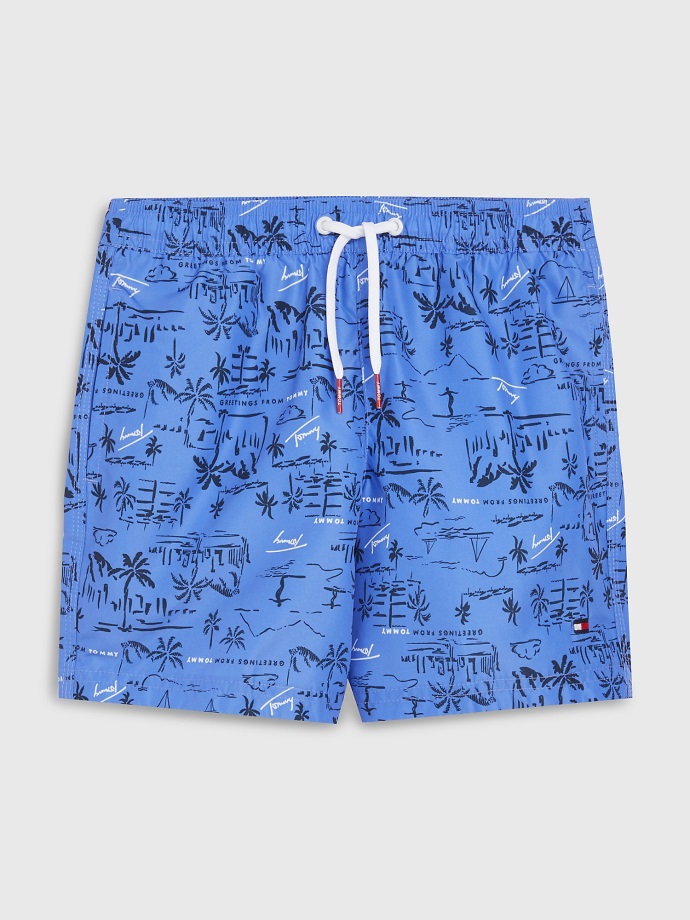Palmový Surf/modrá Dětská Palma Plavky Tommy Hilfiger